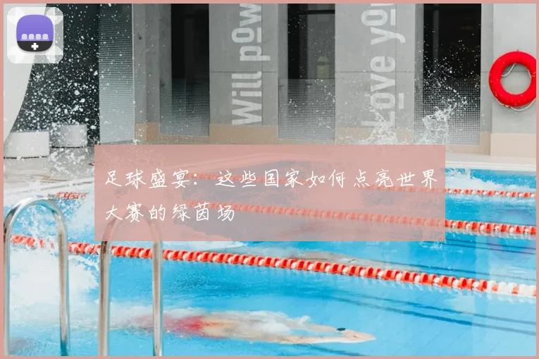 足球盛宴：这些国家如何点亮世界大赛的绿茵场