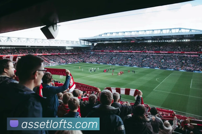 全球热力图